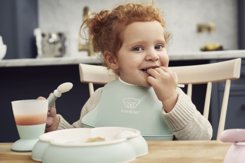 Baby bjorn plate hotsell